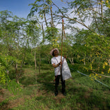 Real Moringa Oil – (30 ml). Organic Natural Facial Oil, made in Thailand by The Moringa Project, 100% Natural Beauty - MIJEP
